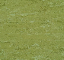 Линолеум Linodur Sport 1011 Avocado Green фото 1 | FLOORDEALER